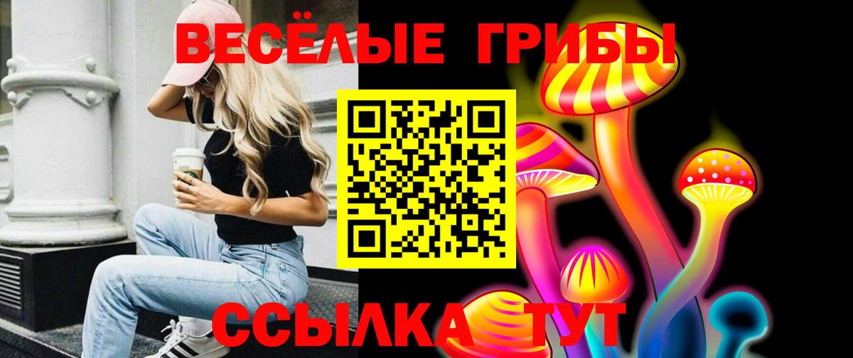 Усолье-Сибирское  Псилоцибиновые грибы GOLDEN TEACHER  Вход с VPN 